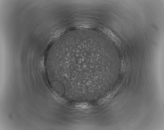 X0000116560377200912101455