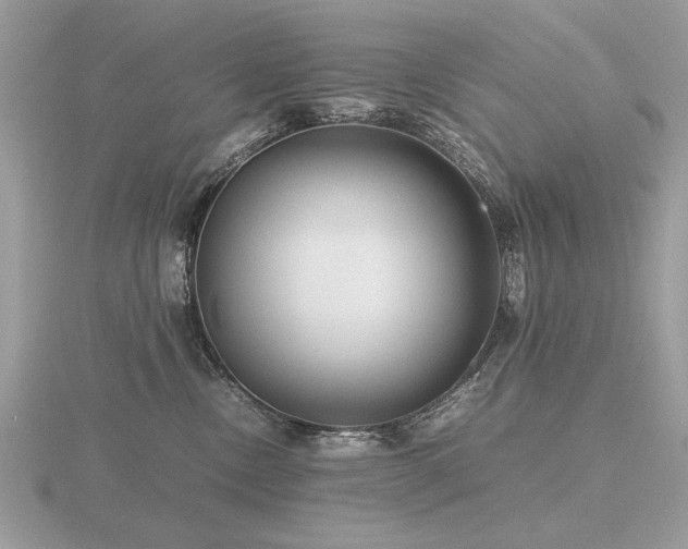 X0000116560378200912101455