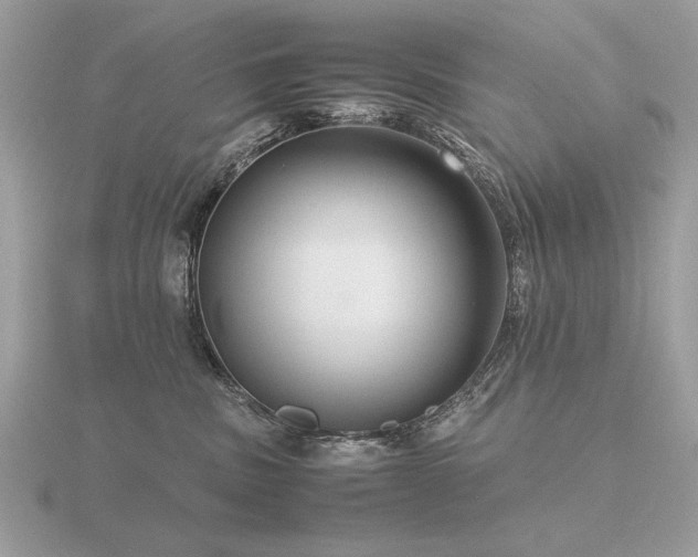 X0000116560379200912101455