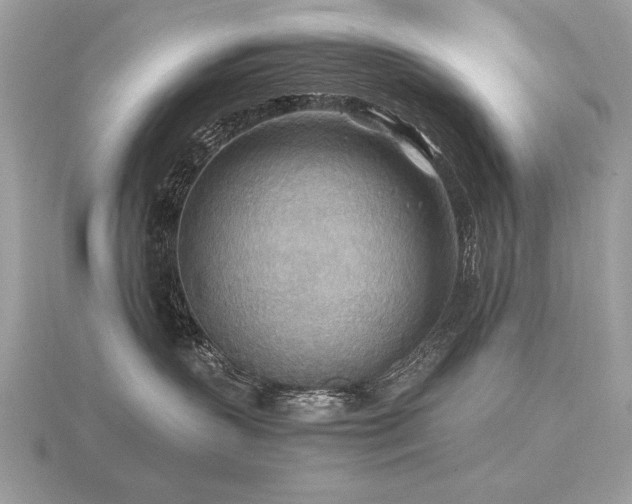 X0000116560383200912101455