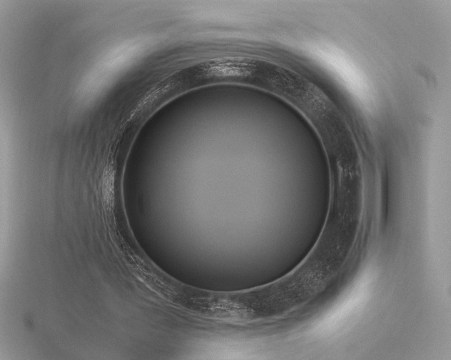 X0000116560387200912101454