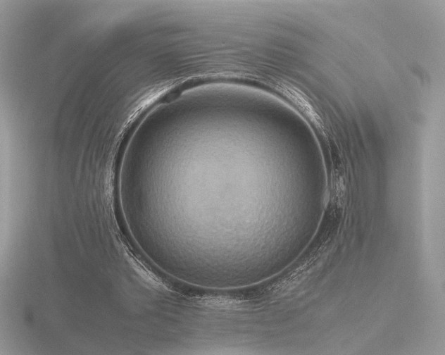 X0000116560389200912101454