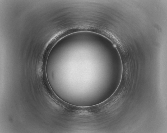 X0000116560392200912101454