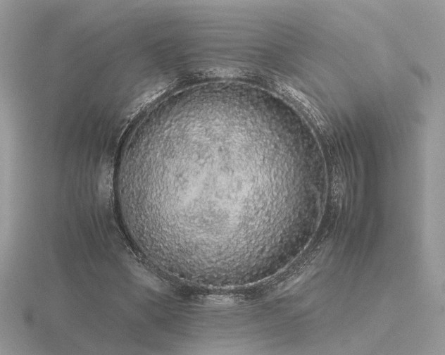 X0000116560394200912101454