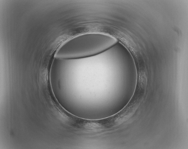 X0000116560397200912101454