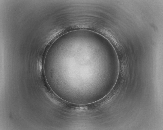 X0000116560398200912101454