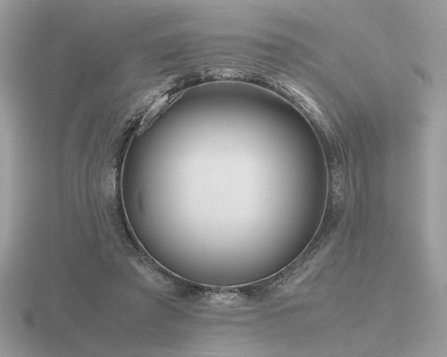 X0000116560401200912101454