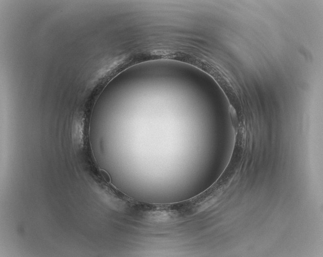 X0000116560404200912101454