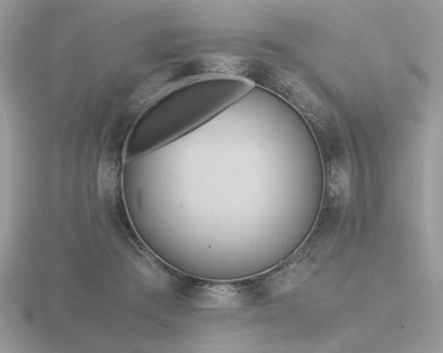 X0000116560409200912101454