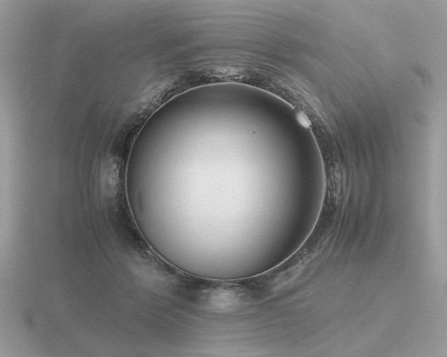 X0000116560412200912101454