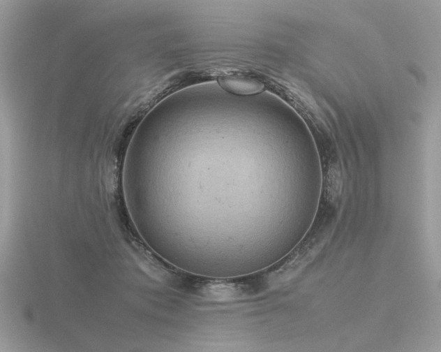 X0000116560413200912101454