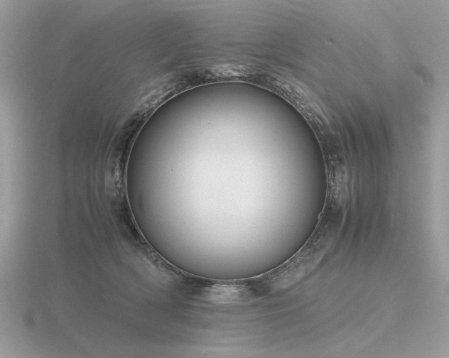 X0000116560418200912101454