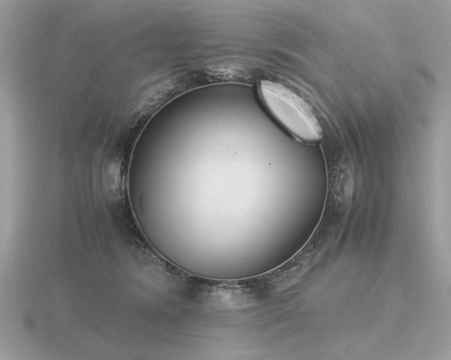 X0000116560420200912101454