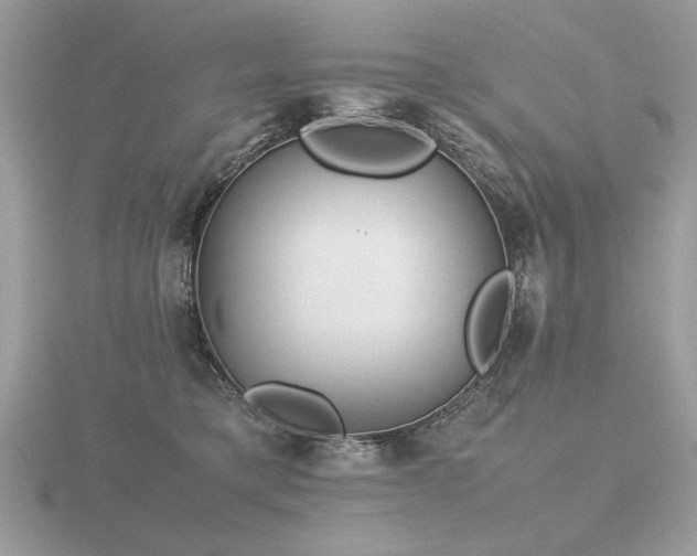 X0000116560421200912101454
