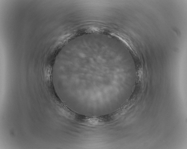X0000116560423200912101454
