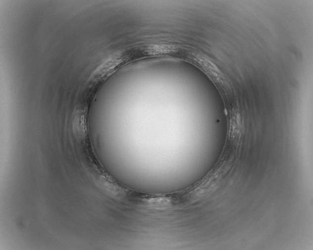 X0000116560426200912101454