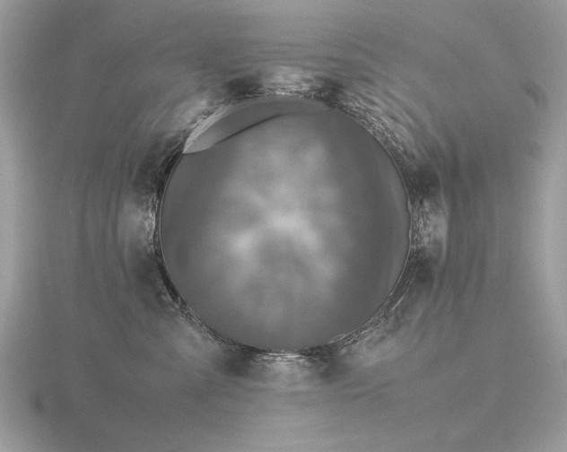 X0000116560427200912101454