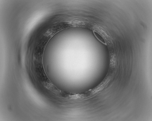 X0000116560430200912101454