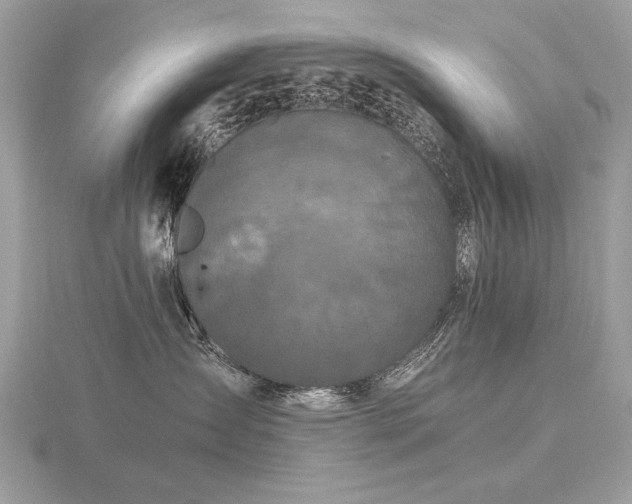 X0000116560431200912101454