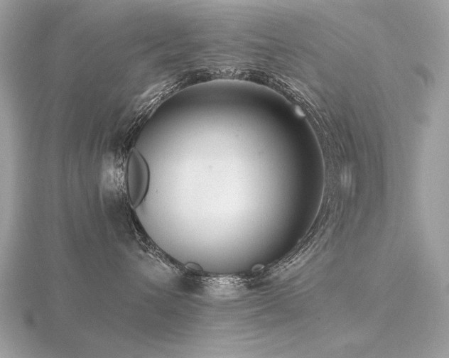 X0000116560432200912101454