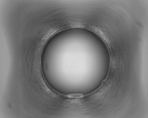 X0000116560433200912101453