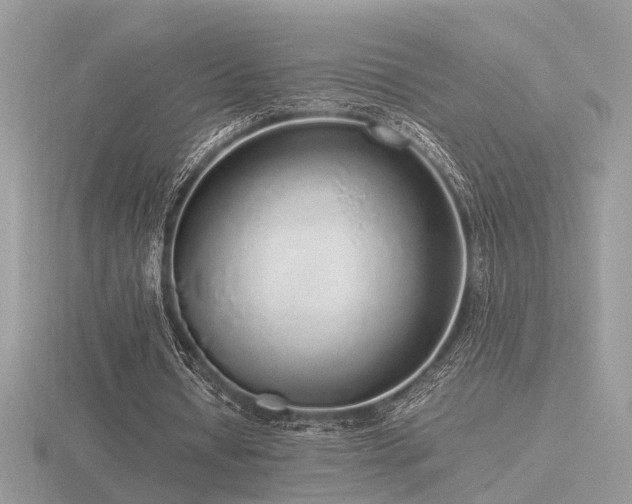 X0000116560434200912101453