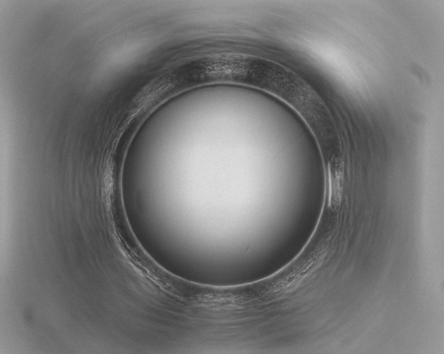X0000116560435200912101453