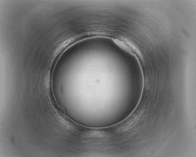 X0000116560437200912101453