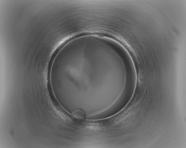 X0000116560438200912101453