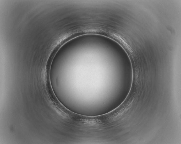 X0000116560439200912101453