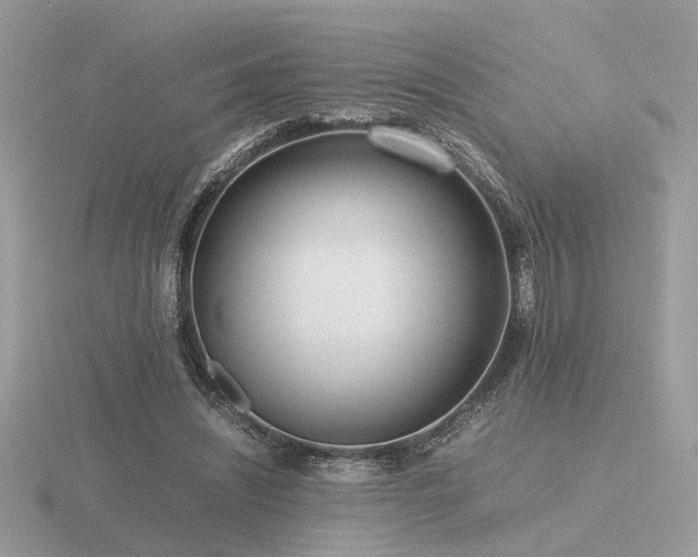 X0000116560444200912101453