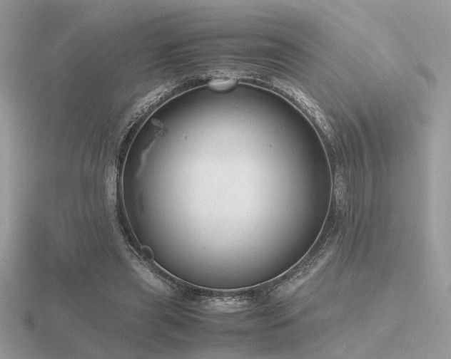 X0000116560445200912101453