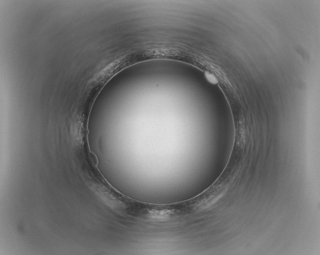 X0000116560450200912101453