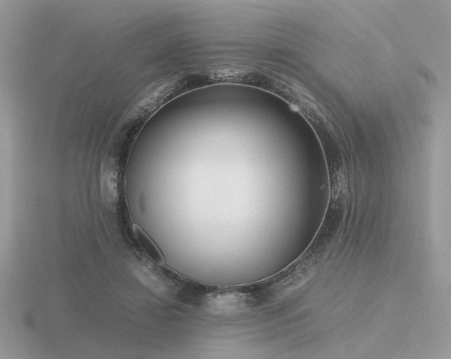 X0000116560452200912101453
