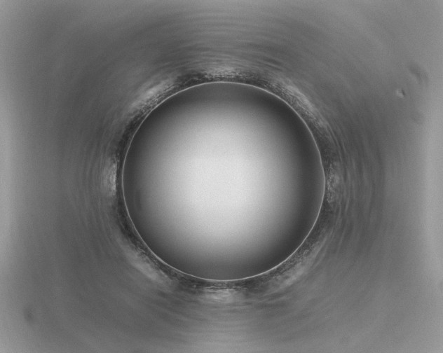 X0000116560454200912101453