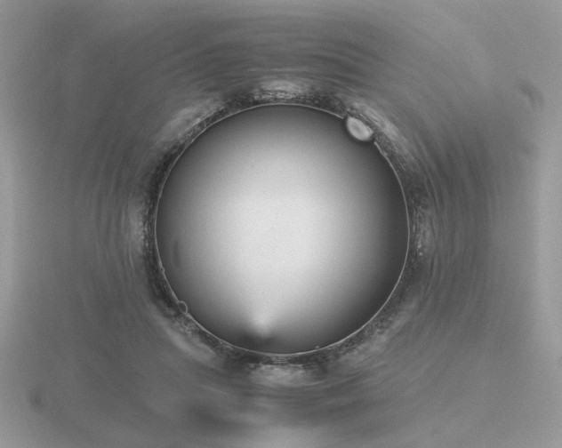 X0000116560455200912101453