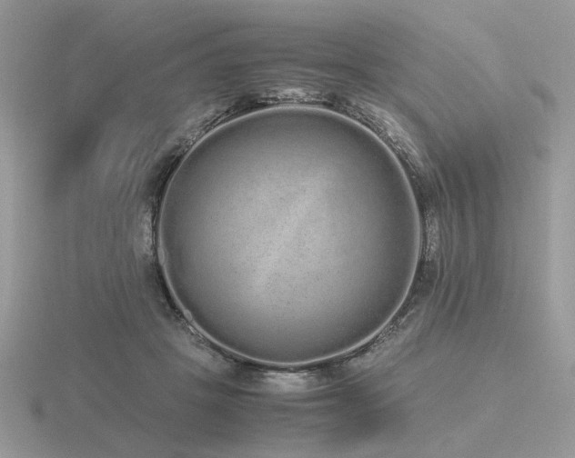 X0000116560457200912101453