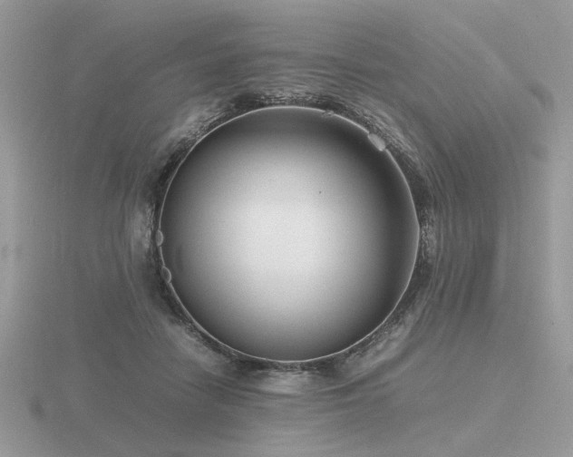 X0000116560458200912101453