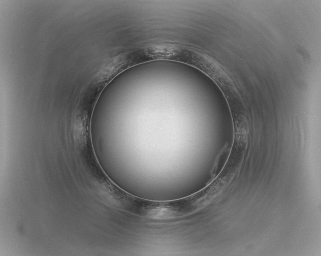 X0000116560460200912101454