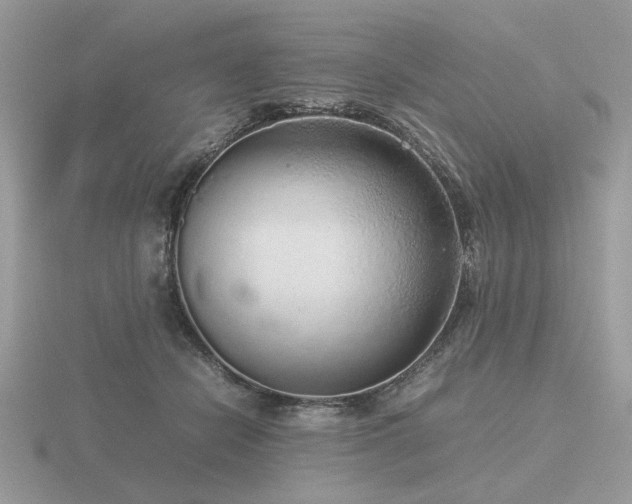 X0000116560462200912101454
