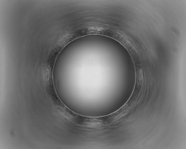 X0000116560463200912101454
