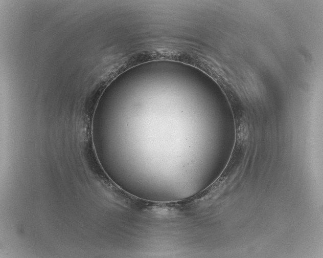 X0000116560464200912101454