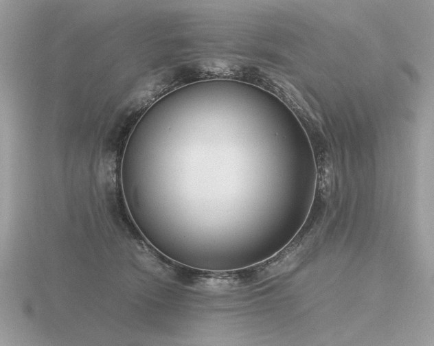 X0000116560466200912101454