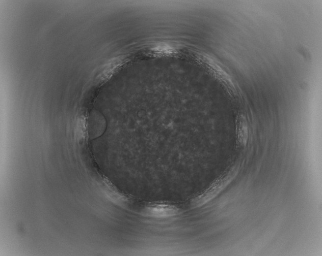 X0000116560467200912101454