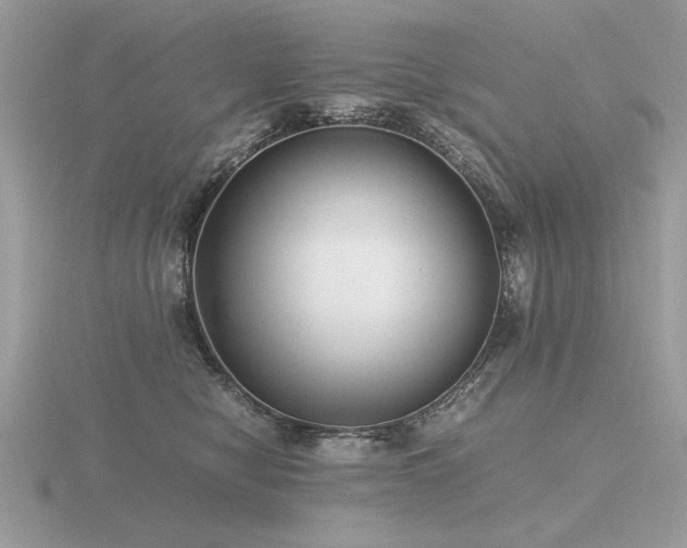 X0000116560470200912101454