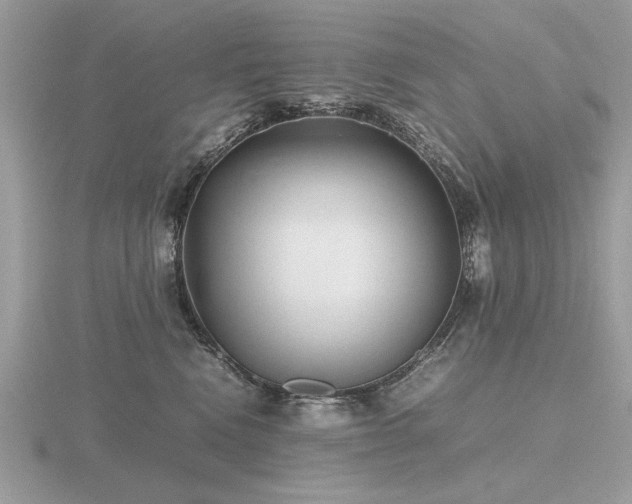 X0000116560472200912101454