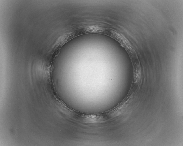 X0000116560473200912101454