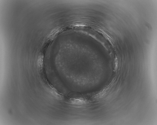 X0000116560475200912101454