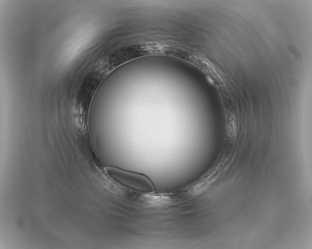 X0000116560477200912101454