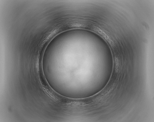 X0000116560482200912101453